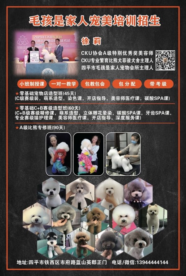 宠物美容技术培训招生