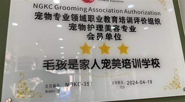 宠物美容技术培训招生
