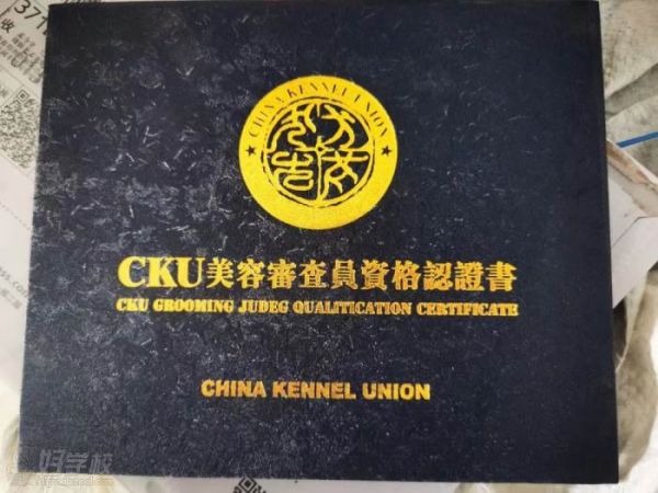 资格认证