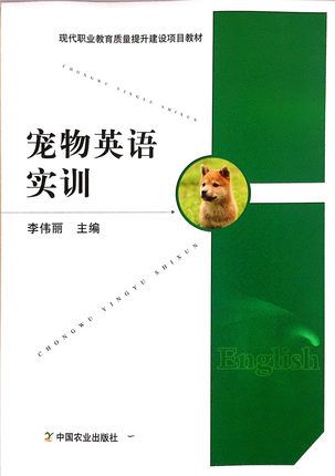 宠物英语实训