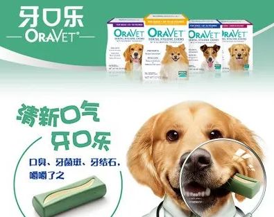 牙口乐--突破性口腔清洁咬胶，让狗狗和口臭说再见