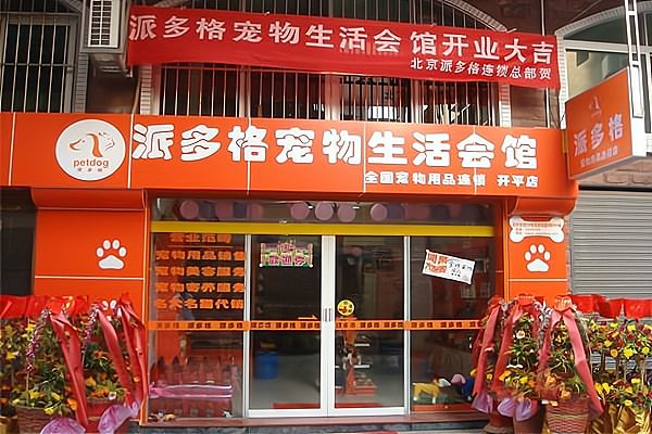 专业宠物美容:不只是为宠物洗澡,更是健康与美的艺术!