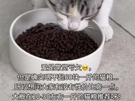 爱是常觉亏欠，但是确实喂不起60块一斤的猫粮...所以想问大家有没有性价比高一点，大概再20-30左右一斤的猫粮推荐呀？#萌宠出道计划 #新手养猫 #猫粮 #养猫日常