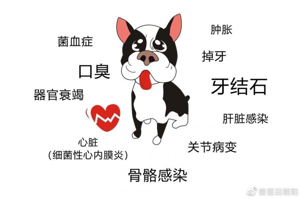 牙结石的危害
