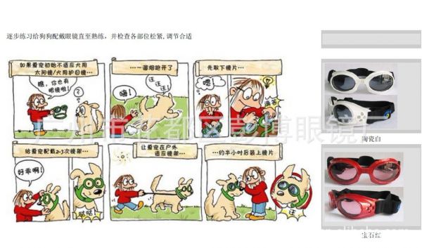 狗眼镜