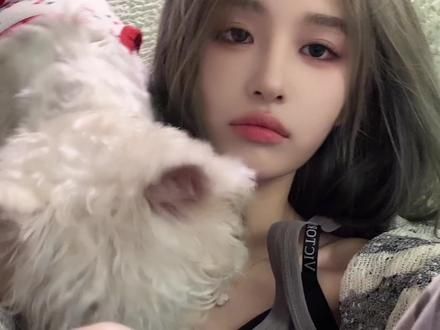 #恶犬