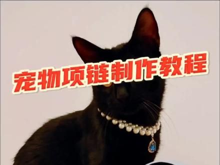 女明星同款的宠物项链制作教程来咯，快给毛孩子们安排起来吧#猫咪 #猫咪项圈手工编织 #宠物项链