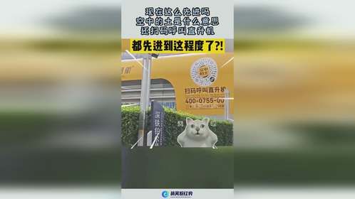现在这么先进吗，空中的土是什么意思，还扫码呼叫直升机