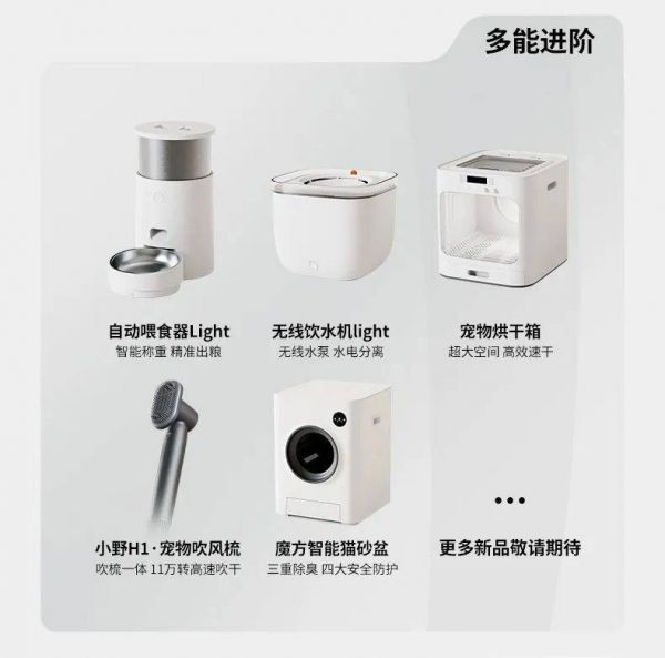 6000万GMV,数百万投给了小红书:新品牌如何布局新流量平台?