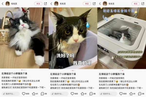 6000万GMV,数百万投给了小红书:新品牌如何布局新流量平台?