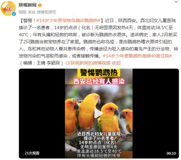 警惕！14岁少年养宠物鸟确诊鹦鹉热