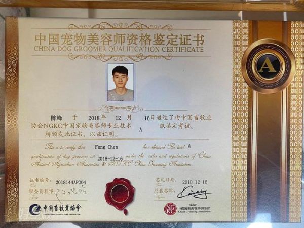 资格鉴定证书