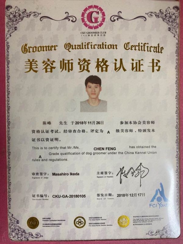 资格认证书