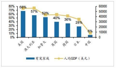 宠物市场研究报告