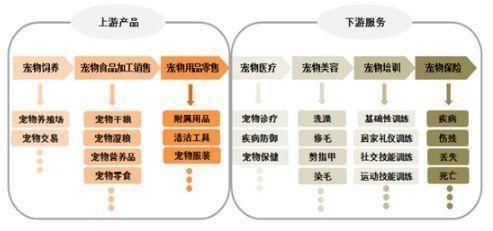 宠物市场研究报告