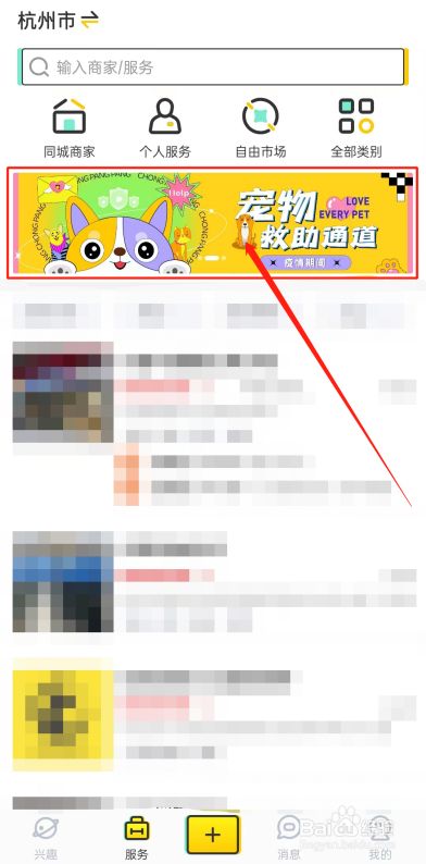 疫情宠物怎样救助