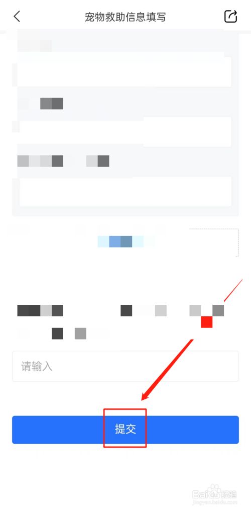 疫情宠物怎样救助