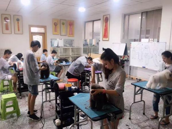 教学现场