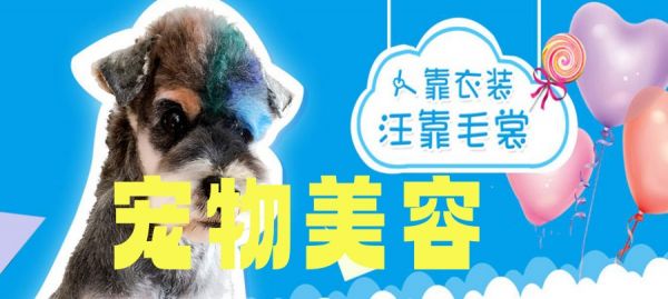 北京宠物美容师十大培训班排名整理1.jpg