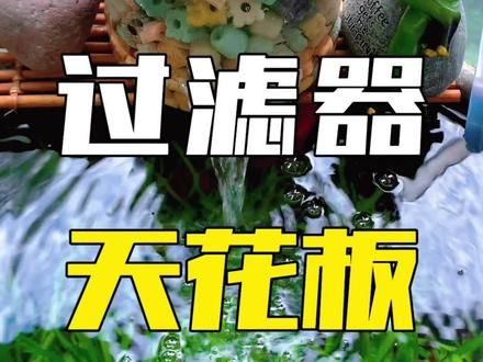 垃圾堆捡个塑料瓶子，小伙把它改成过滤器用来养鱼，太牛了#养鱼日记 #水族 #鱼缸过滤 #观赏鱼 #鱼缸里的大自然