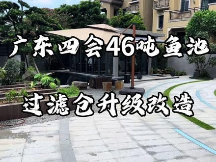 46吨锦鲤池改造 过滤仓智能自动化升级#过滤系统 #庭院鱼池 #专业的事交给专业的人