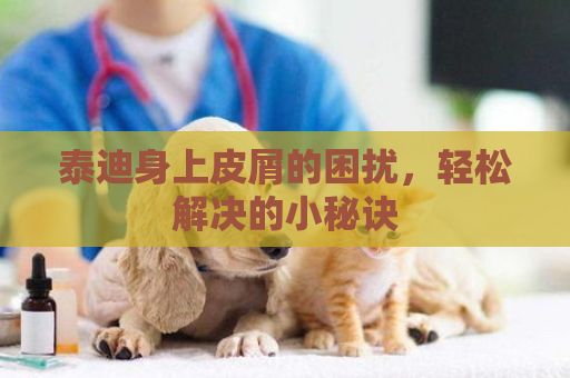 泰迪身上皮屑的困扰，轻松解决的小秘诀