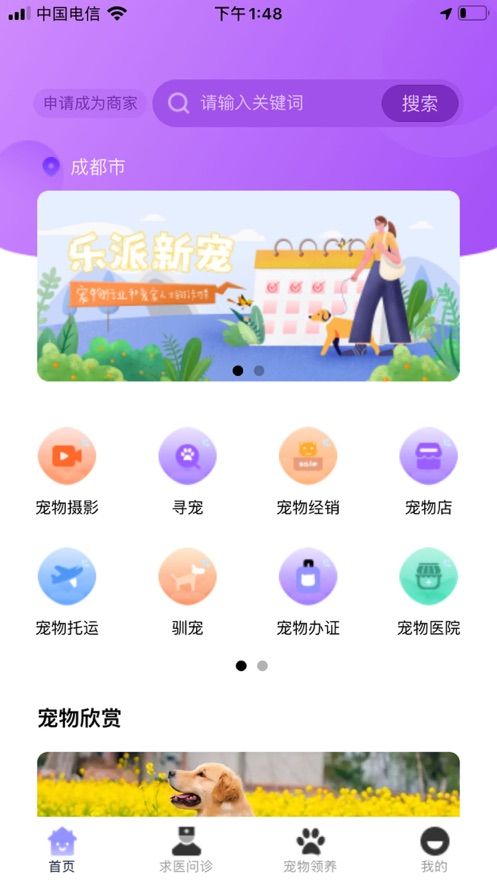 乐派新宠