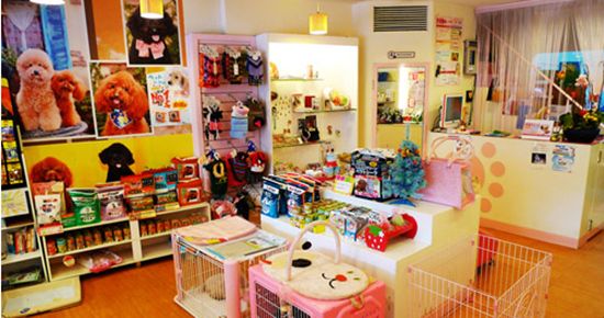 宠物用品店