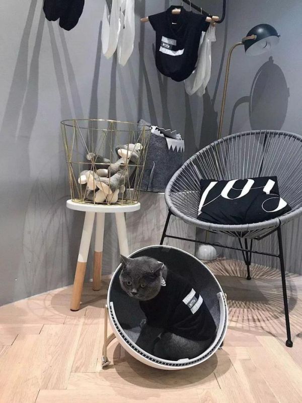 上海12家可以带宠物星人的餐厅，铲屎官必备！