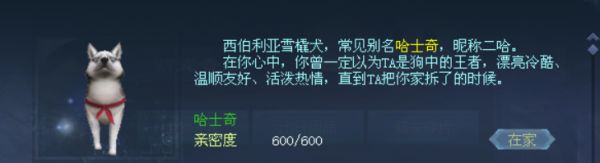 攻略』保姆级萌宠养育教程_新倩女幽魂 | 大神
