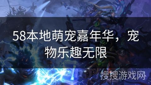 58本地萌宠嘉年华，宠物乐趣无限