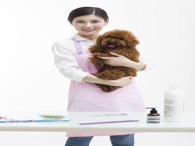 老友狗狗宠物店加盟