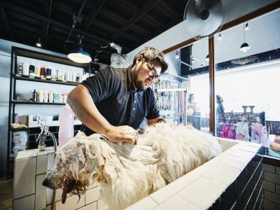 小狗当家宠物店加盟