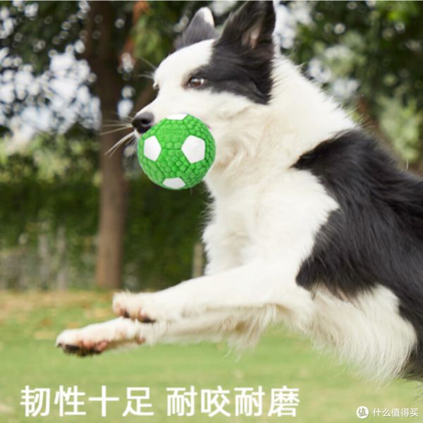 让宠物更开心更健康，宜特小号乳胶足球——互动训练的狗狗玩具神器