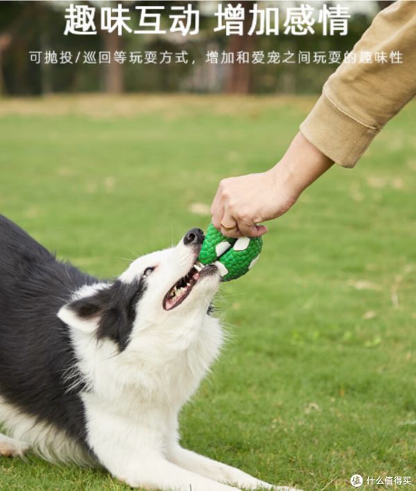 让宠物更开心更健康，宜特小号乳胶足球——互动训练的狗狗玩具神器