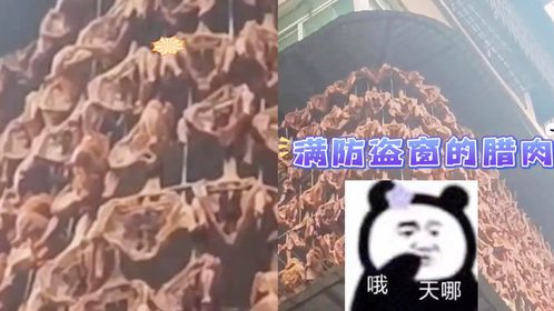 防盗窗上挂满各类腊肉，密密麻麻看得人口水直流，这是新型窗帘？