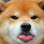 洒哇迪卡