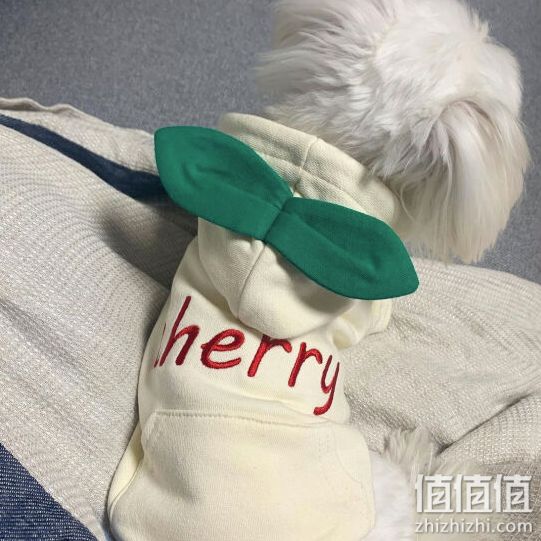 嬉皮狗韩版萝卜卫衣秋冬装 小型幼犬