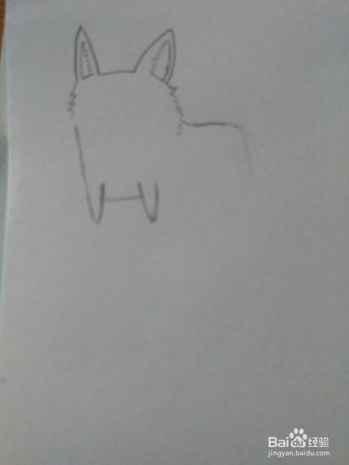 宠物狗狗 柯基犬 详细绘画步骤教程！