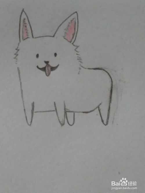 宠物狗狗 柯基犬 详细绘画步骤教程！