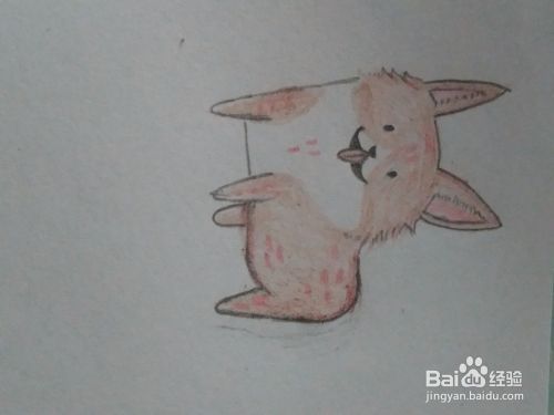 宠物狗狗 柯基犬 详细绘画步骤教程！