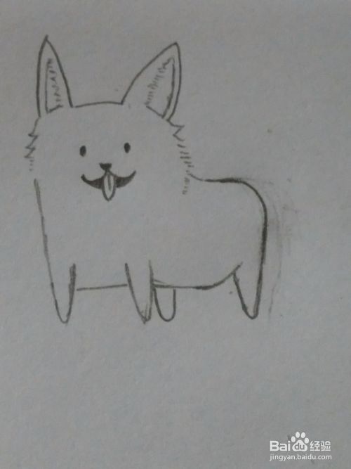 宠物狗狗 柯基犬 详细绘画步骤教程！