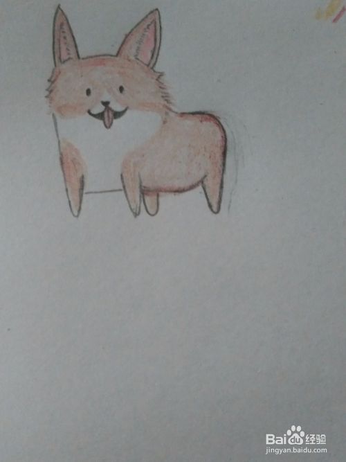 宠物狗狗 柯基犬 详细绘画步骤教程！
