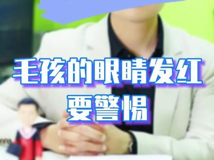 #宠物眼科医生王立博士 #天津新视界动物医院 #科学养宠攻略 #宠物知识