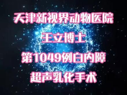 #狗白内障手术 #宠物眼科医生王立博士 #新视界动物医院