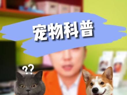 #宠物眼科医生王立博士 #新视界动物医院 #萌宠 #科学养宠攻略 #宠物知识