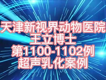 #宠物眼科医生王立博士 #天津新视界动物世界 #狗白内障
