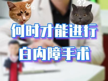 #宠物眼科医生王立博士 #新视界动物医院 #狗白内障手术 #宠物知识 #宠物科普