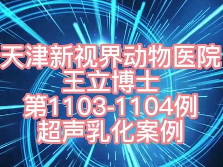 #宠物眼科医生王立博士 #天津新视界动物医院 #狗白内障