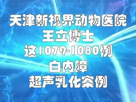 #新视界动物医院 #宠物眼科医生王立博士 #狗白内障 #宠物知识